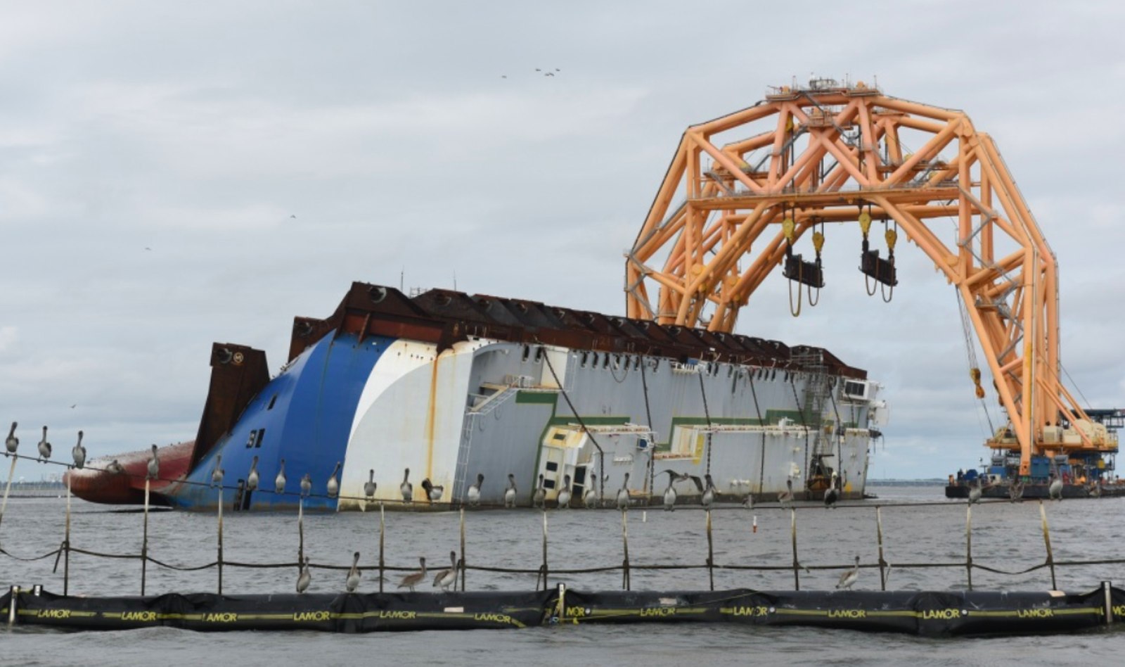MV Golden Ray 2021 - kuriózna havária lode so 4200 autami na palube 